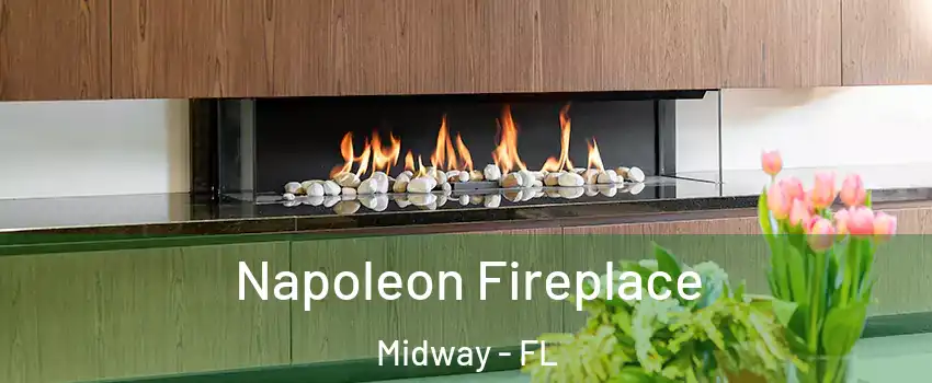  Napoleon Fireplace Midway - FL